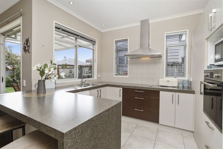 Photo of property in 55 Coachman Drive, Flat Bush, Auckland, 2016