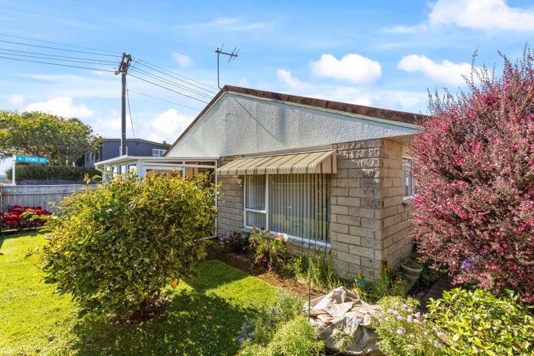 Photo of property in 20 Stoke Street, Westown, New Plymouth, 4310