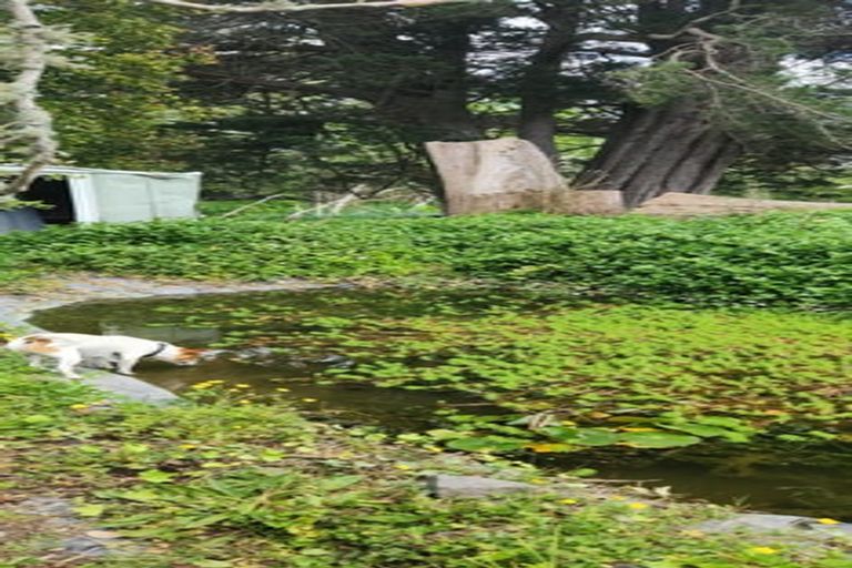 Photo of property in 24 Tourist Road, Clevedon, Papakura, 2582