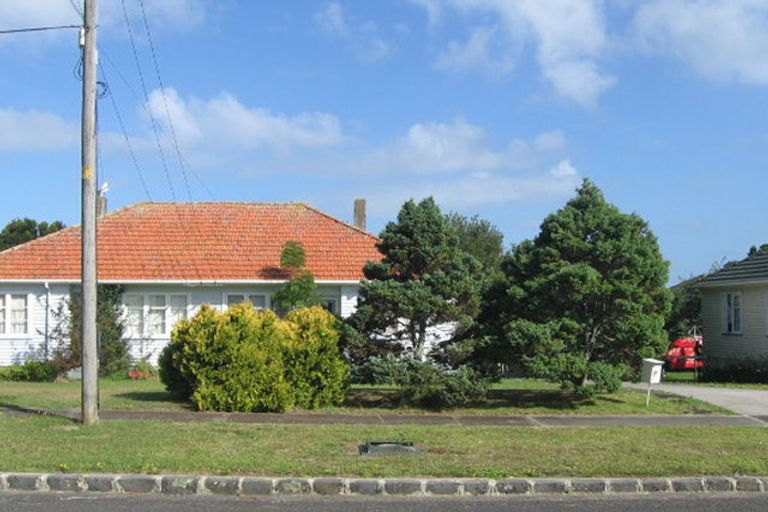 Photo of property in 25 Mount Roskill Road, Mount Roskill, Auckland, 1041