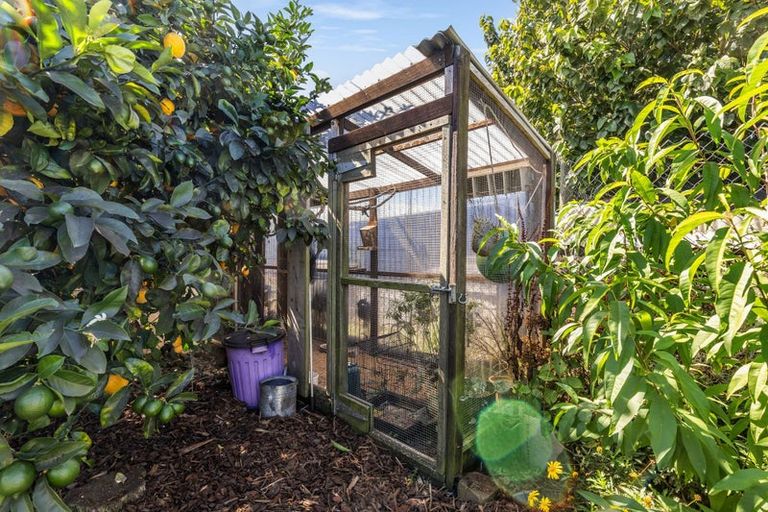 Photo of property in 84 College Street, Motueka, 7120