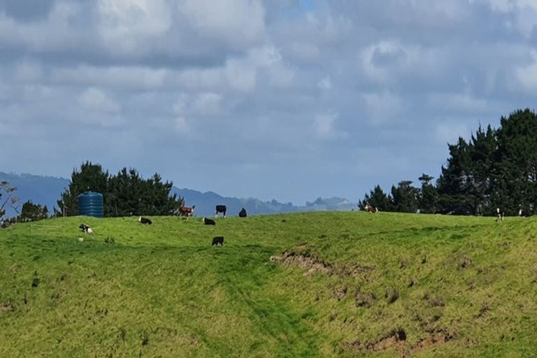 Photo of property in 247 Kaihau Road, Karioitahi, Waiuku, 2683