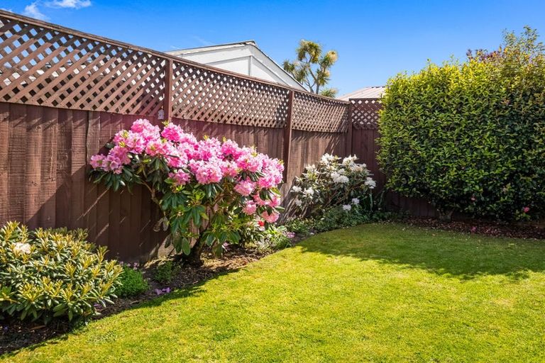 Photo of property in 1/274 Lyttelton Street, Spreydon, Christchurch, 8024