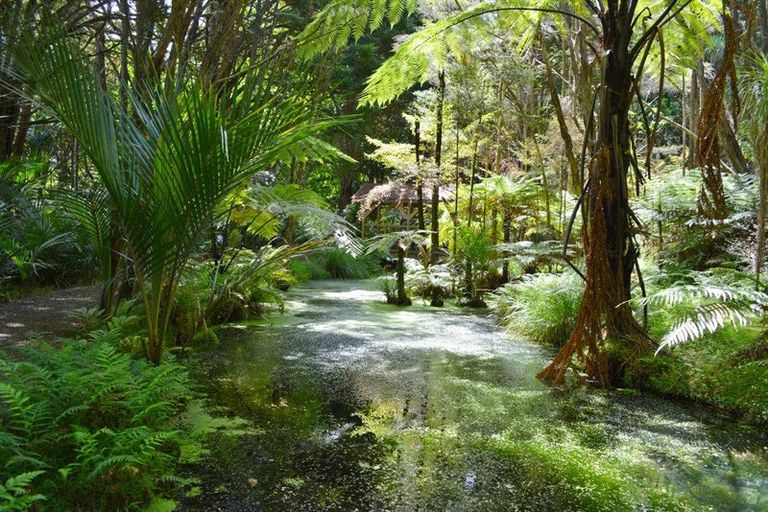 Photo of property in 204 Omaha Valley Road, Big Omaha, Warkworth, 0985