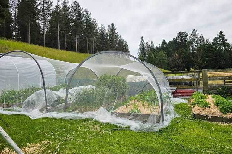 Photo of property in 569 Hakataramea Valley Road, Hakataramea, Kurow, 9498