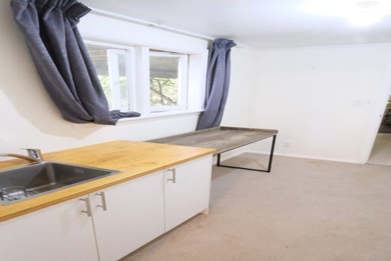 Photo of property in 64 Norway Street, Aro Valley, Wellington, 6012