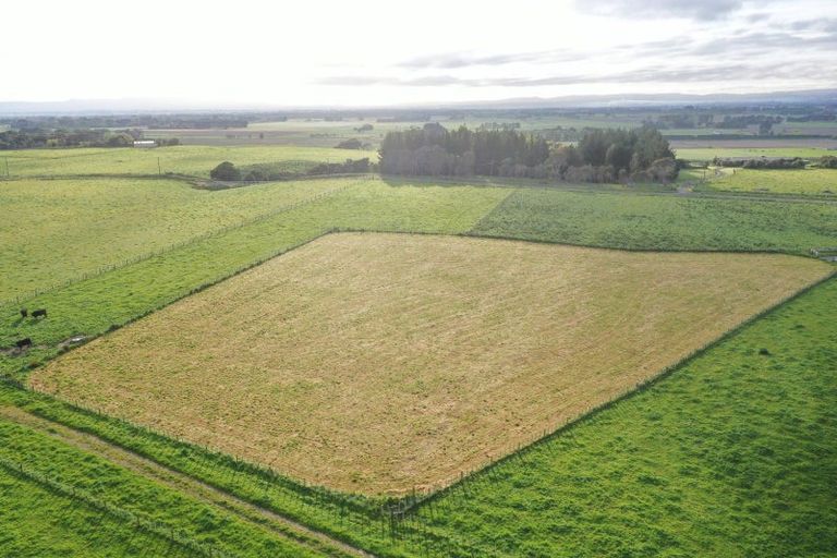 Photo of property in 8 Gill Lane, Rongotea, 4476