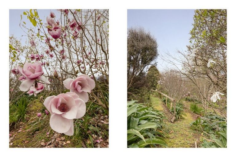 Photo of property in 5 Olive Close, Omokoroa, 3114