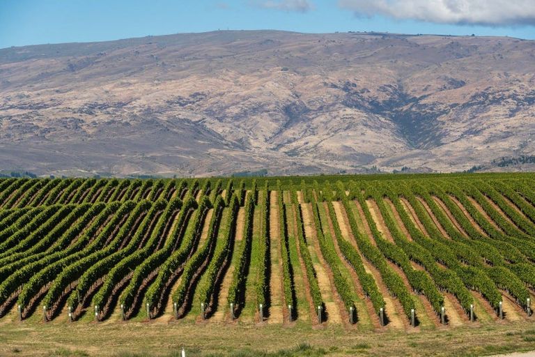 Photo of property in 130a Mcarthur Road, Springvale, Alexandra, 9391