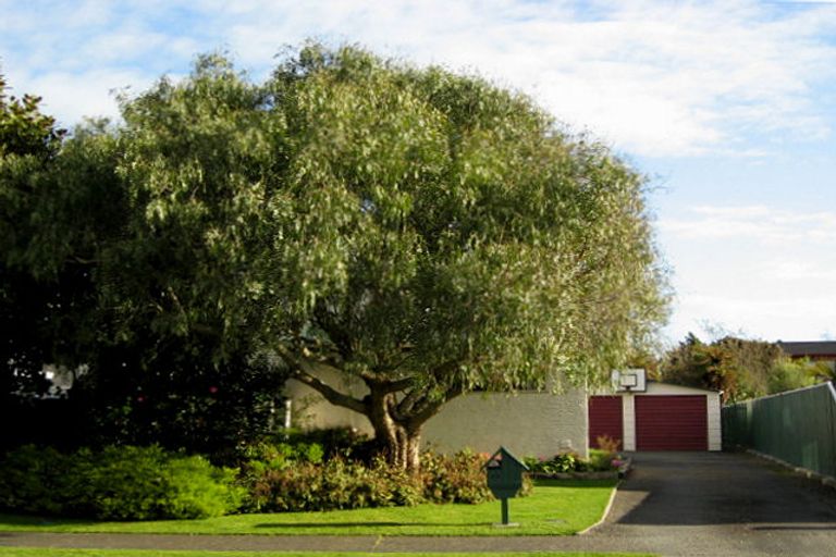 Photo of property in 46 Burn Street, Levin, 5510