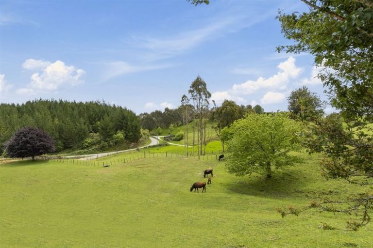 Photo of property in 245 Mangatoi Road, Oropi, Tauranga, 3173