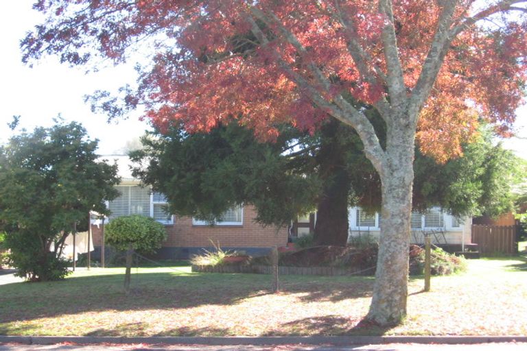 Photo of property in 133 Arapuni Street, Putaruru, 3411