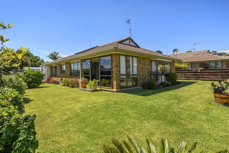 Photo of property in 4b Norton Road, Otumoetai, Tauranga, 3110