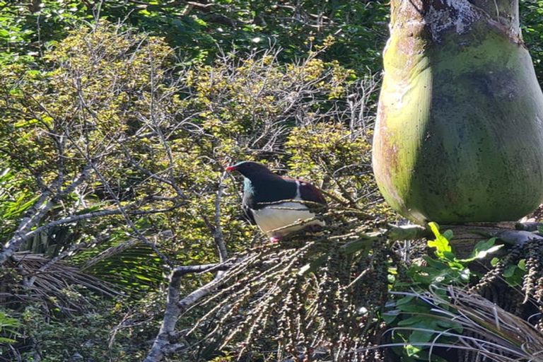 Photo of property in 10-12 Glenesk Road, Piha, New Lynn, 0772