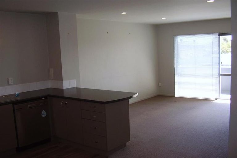 Photo of property in 461 Barbadoes Street, Edgeware, Christchurch, 8013