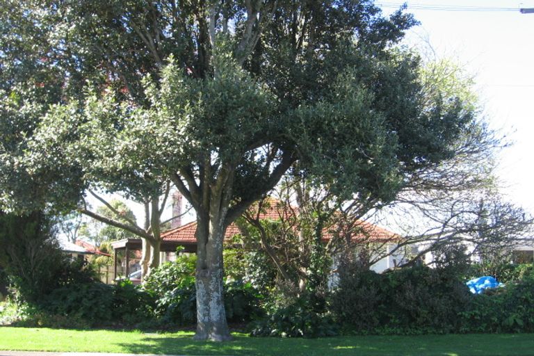 Photo of property in 21a Judea Road, Judea, Tauranga, 3110