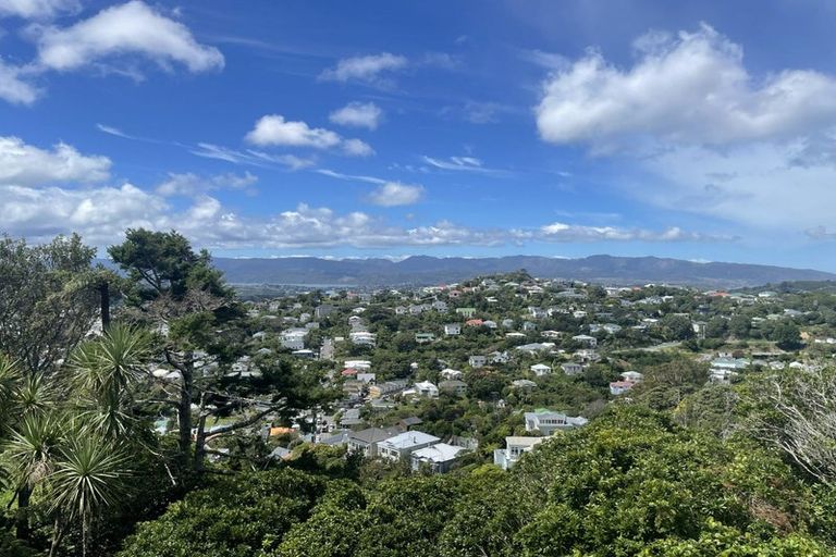 Photo of property in 135 Mitchell Street, Brooklyn, Wellington, 6021