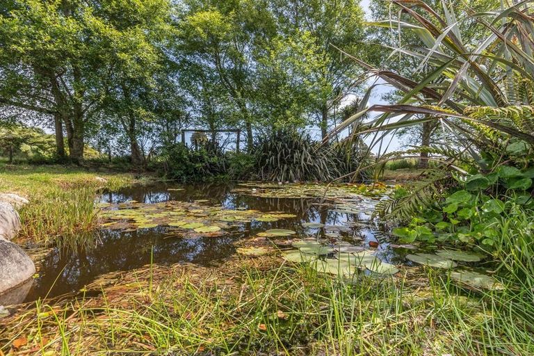 Photo of property in 171 Coulson Road, Paroa, Greymouth, 7805
