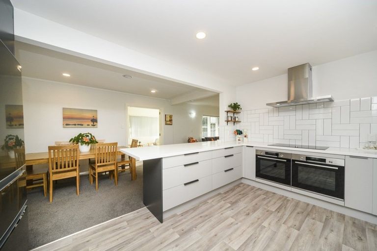 Photo of property in 481 Ruahine Street, Terrace End, Palmerston North, 4410