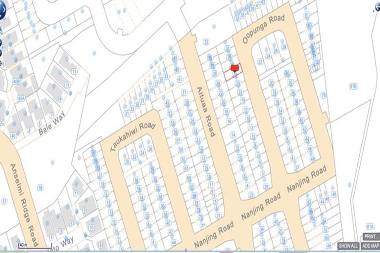 Photo of property in 25 Oopunga Road, Pukekohe, 2120