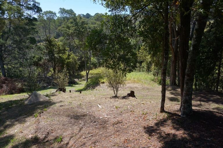 Photo of property in 14 Pohue Creek Road, Waiomu, Thames, 3575