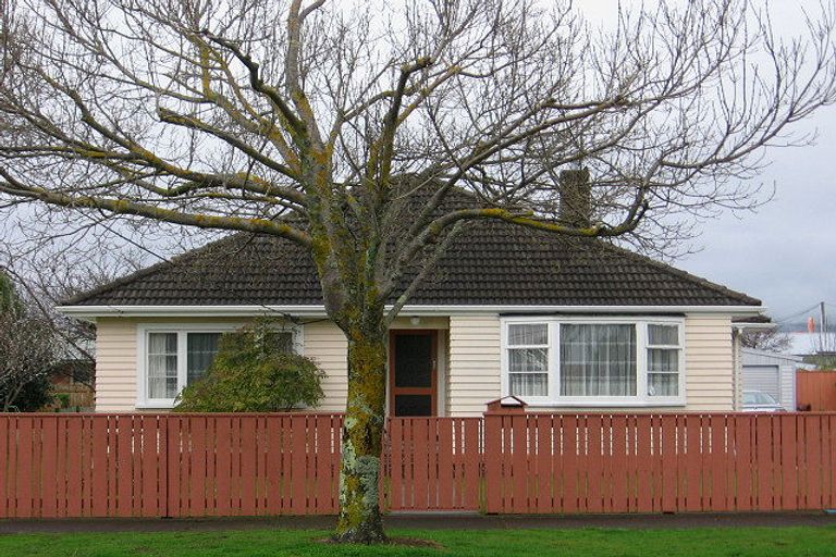 Photo of property in 21 Mckenzie Street, Levin, 5510