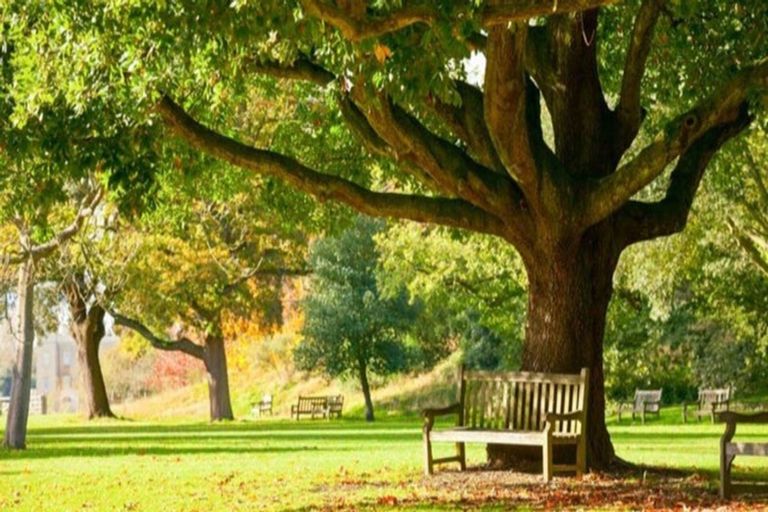 Photo of property in 8 Rowe Lane, Morrinsville, 3300