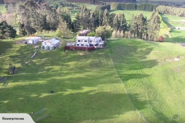 Photo of property in 491 Palmer Mill Road, Wairakei, Taupo, 3384