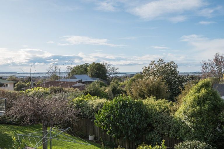 Photo of property in 4 Farnham Drive, Richmond, 7020