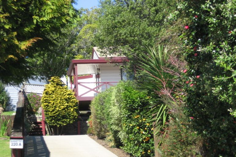 Photo of property in 220 Fraser Street, Tauranga South, Tauranga, 3112