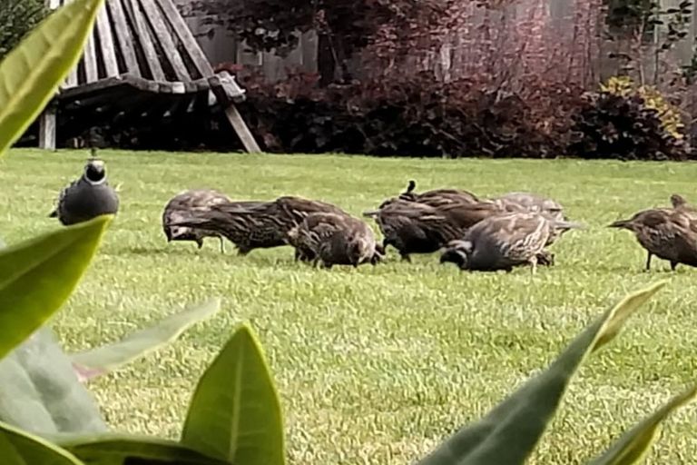 Photo of property in 42 Victory Drive, Wharewaka, Taupo, 3330