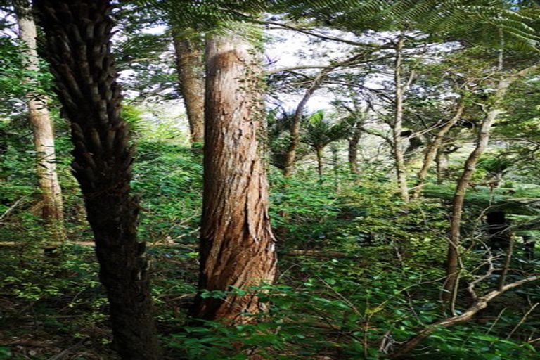 Photo of property in 26 Pacific Bay Road, Tutukaka, Whangarei, 0173