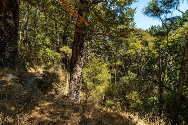 Photo of property in 354 Blue Rock Road, Ruakokoputuna, Martinborough, 5781