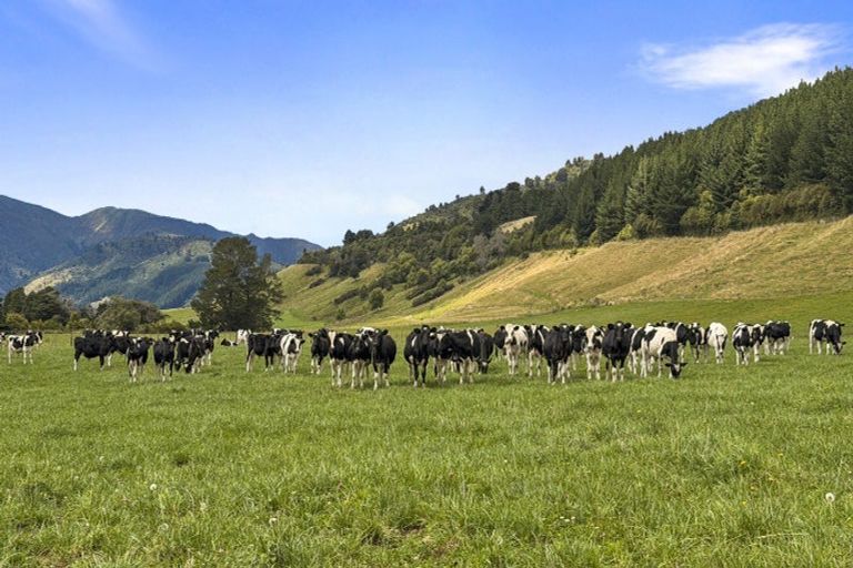 Photo of property in 1 Takapari Road, Pohangina, Ashhurst, 4884