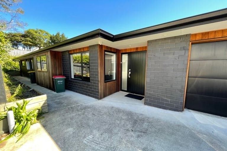 Photo of property in 58b Lorna Street, Lynmouth, New Plymouth, 4310