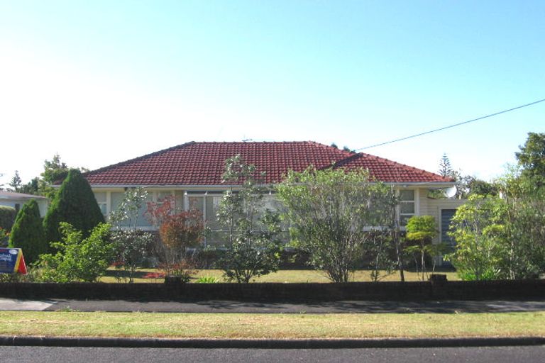 Photo of property in 14 Karaka Street, New Lynn, Auckland, 0600