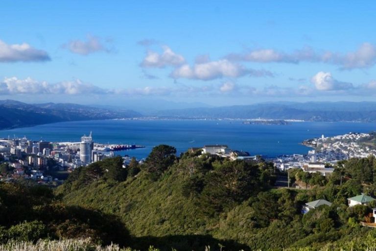 Photo of property in 32 Ashton Fitchett Drive, Brooklyn, Wellington, 6021