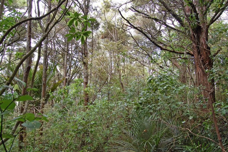 Photo of property in 542 Oneriri Road, Kaiwaka, 0573