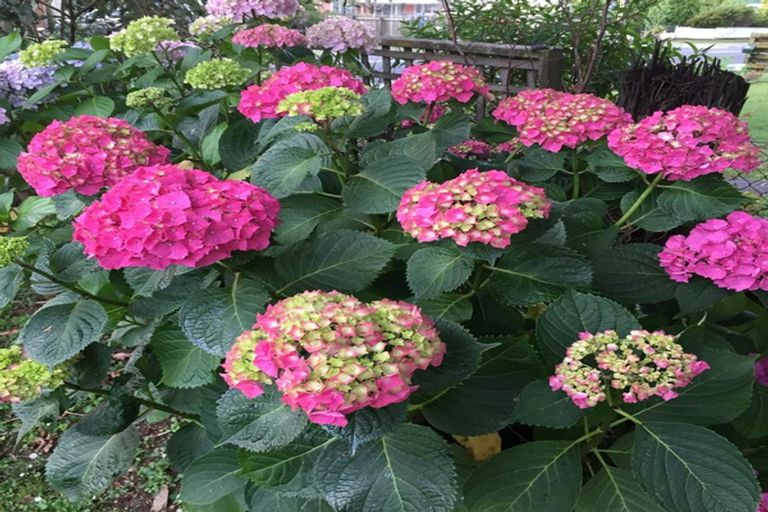 Photo of property in 75 Baberton Street, Tokoroa, 3420