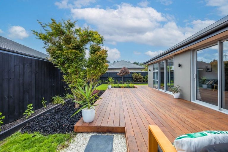 Photo of property in 50 Te Rito Street, Marshland, Christchurch, 8083