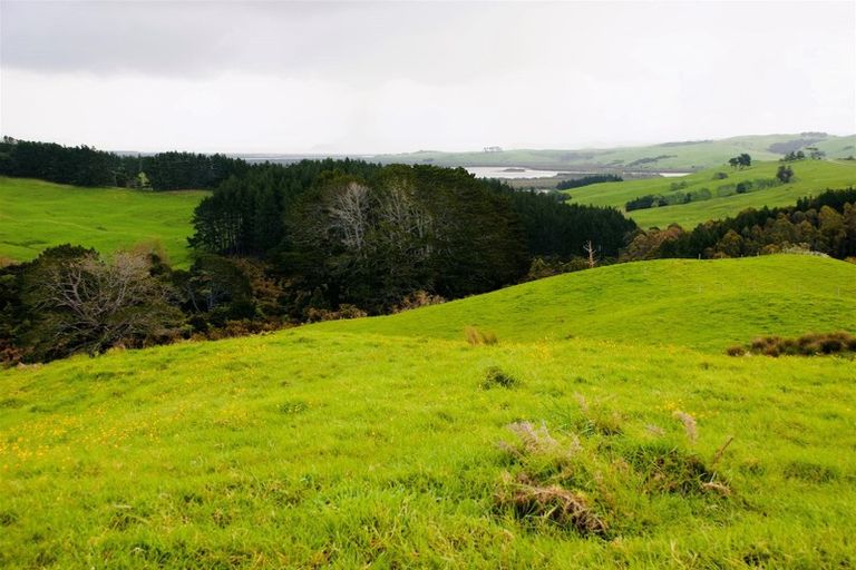 Photo of property in 567 Wharehine Road, Wharehine, Wellsford, 0973