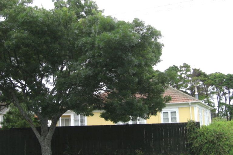 Photo of property in 131 Hendon Avenue, Mount Albert, Auckland, 1025