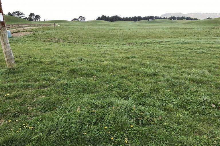 Photo of property in 274 Whakapapa Road, Ohakuri, Reporoa, 3083