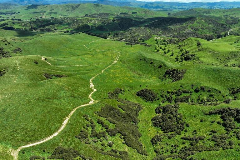 Photo of property in 134 Bowen Road, Eketahuna, 4994