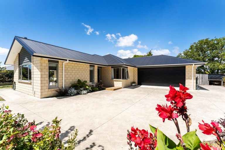 Photo of property in 9 Moy Place, Otaki, 5512