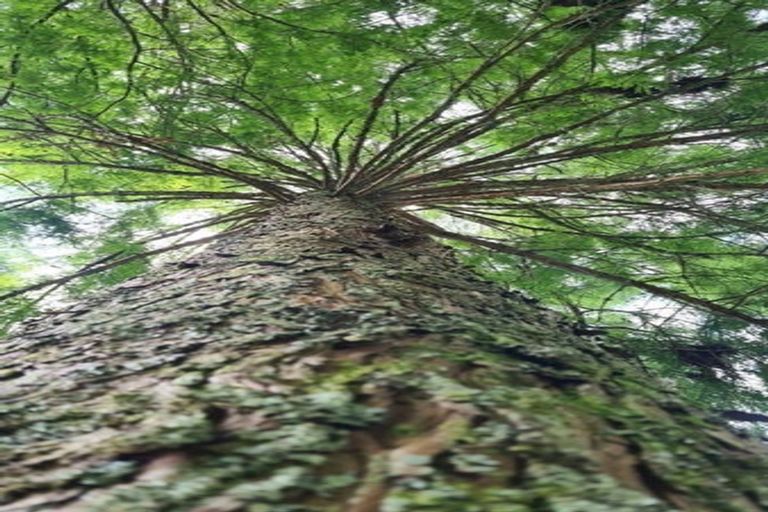 Photo of property in 11 Sanctuary Lane, Tamahere, Hamilton, 3283