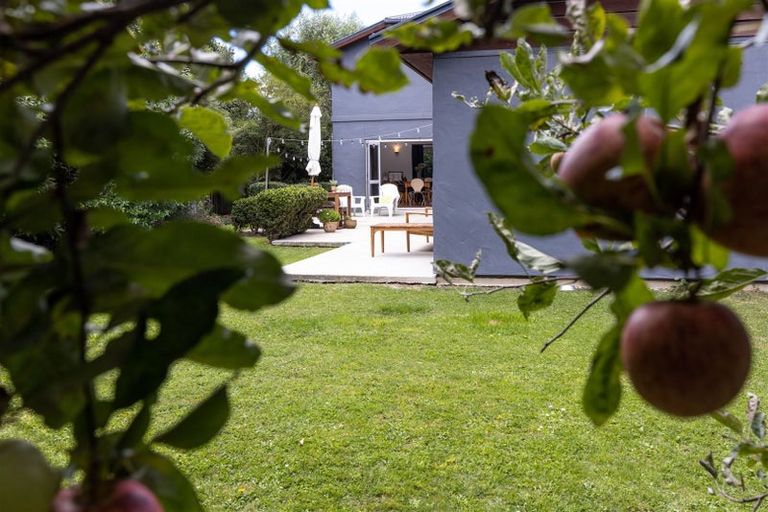 Photo of property in 42 Purkiss Street, Springlands, Blenheim, 7201