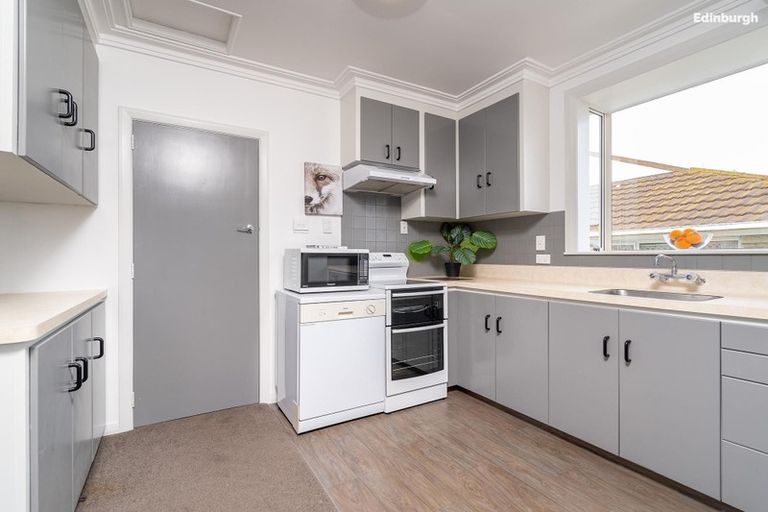 Photo of property in 163 Eglinton Road, Mornington, Dunedin, 9011