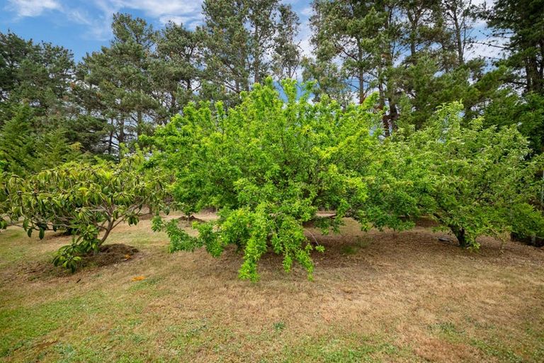 Photo of property in 652 Mount Brown Road, Broomfield, Amberley, 7482