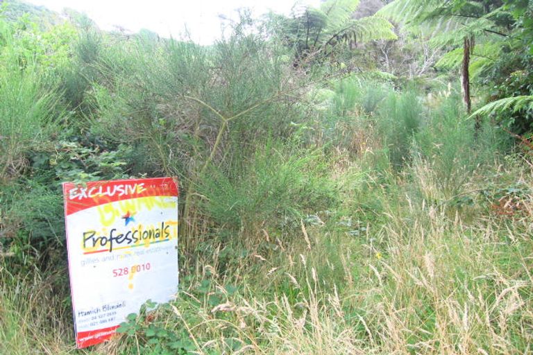 Photo of property in 62 Bridge Road, Birchville, Upper Hutt, 5018